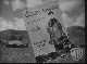 Trailer Image