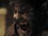 Trailer Image