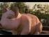Trailer Image