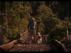 Trailer Image