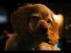 Trailer Image